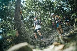 BIB: 
                            <button type="button" onclick="openModal(25986484)" class="btn btn-primary btn-sm float-right btn-popup" data-toggle="modal" data-target=".modal-high-quality">
                        <i class="fas fa-shopping-cart"></i> Add to Cart
                    </button>
                                            <button type="button" onclick="isThisMe(25986484, true)" class="btn btn-success btn-sm float-right btn-popup btn-isme hidden" data-toggle="tooltip" data-placement="bottom" title="นี่คือรูปของคุณใช่ไหม คลิกที่นี่เพื่อเอาเข้าอัลบั้ม">
                        <i class="fas fa-plus"></i> Add to album
                    </button>
                    <button type="button" onclick="isThisMe(25986484, false)" class="btn btn-warning btn-sm float-right btn-popup btn-isnotme hidden">
                        <i class="fas fa-ban"></i> Remove from album
                    </button>